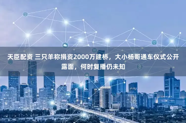 天臣配资 三只羊称捐资2000万建桥，大小杨哥通车仪式公开露面，何时复播仍未知