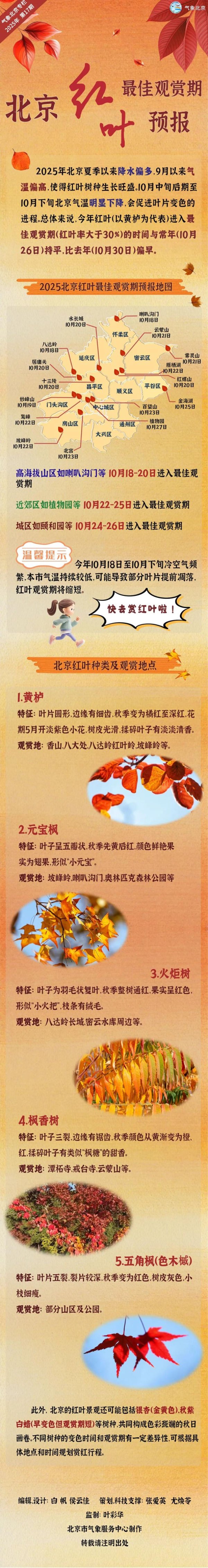 上升浪 北京多个景点10月20日左右进入红叶最佳观赏期